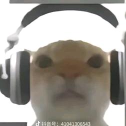 大帅哥😃
