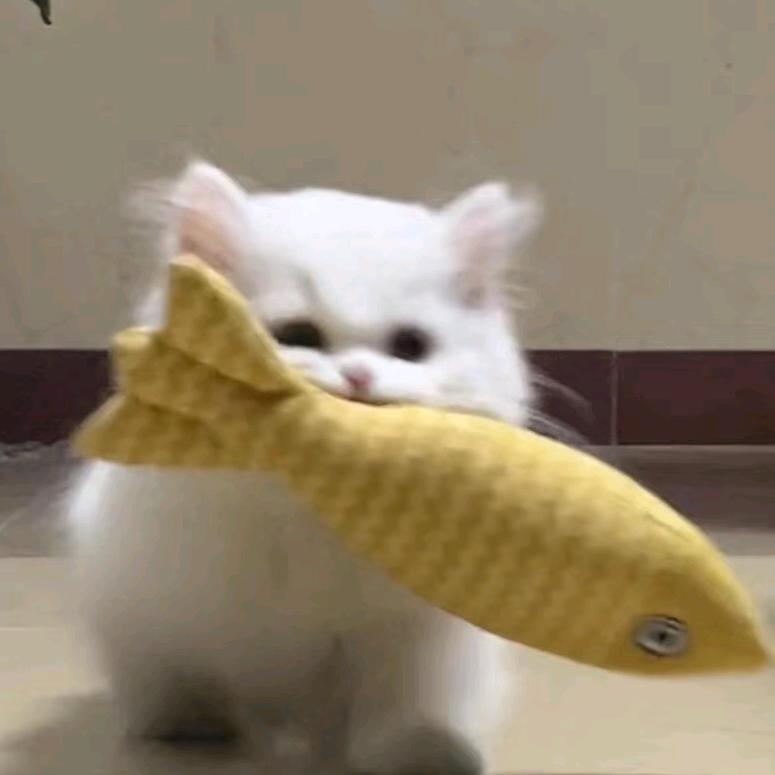 洛琰