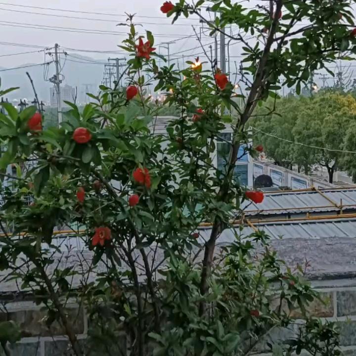 顺风