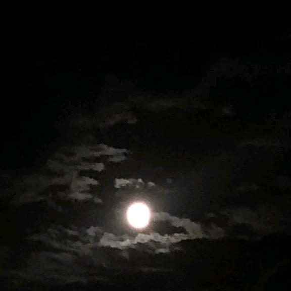 健康长寿