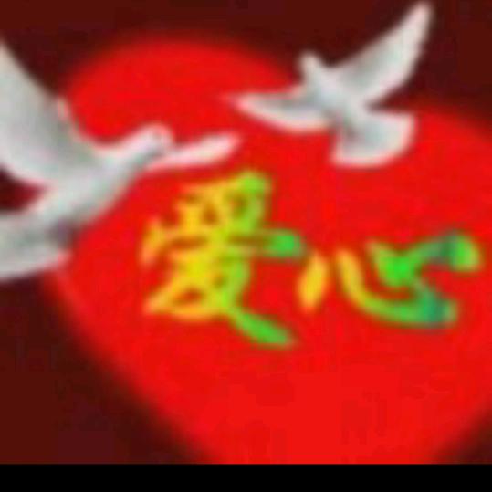 葡萄树枝子