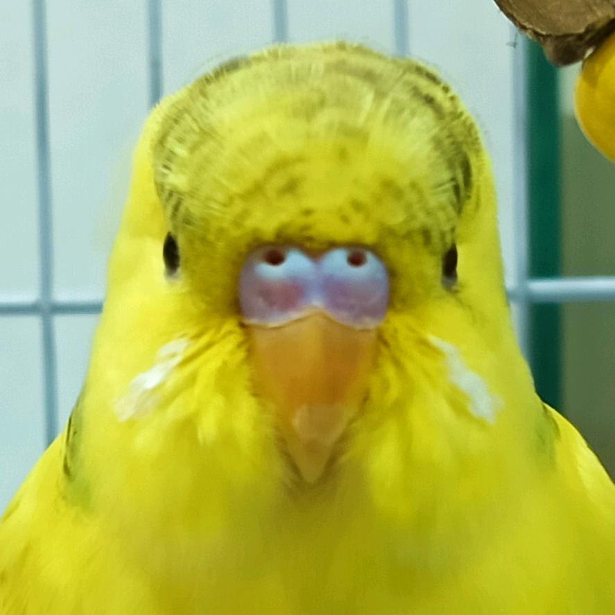 ？