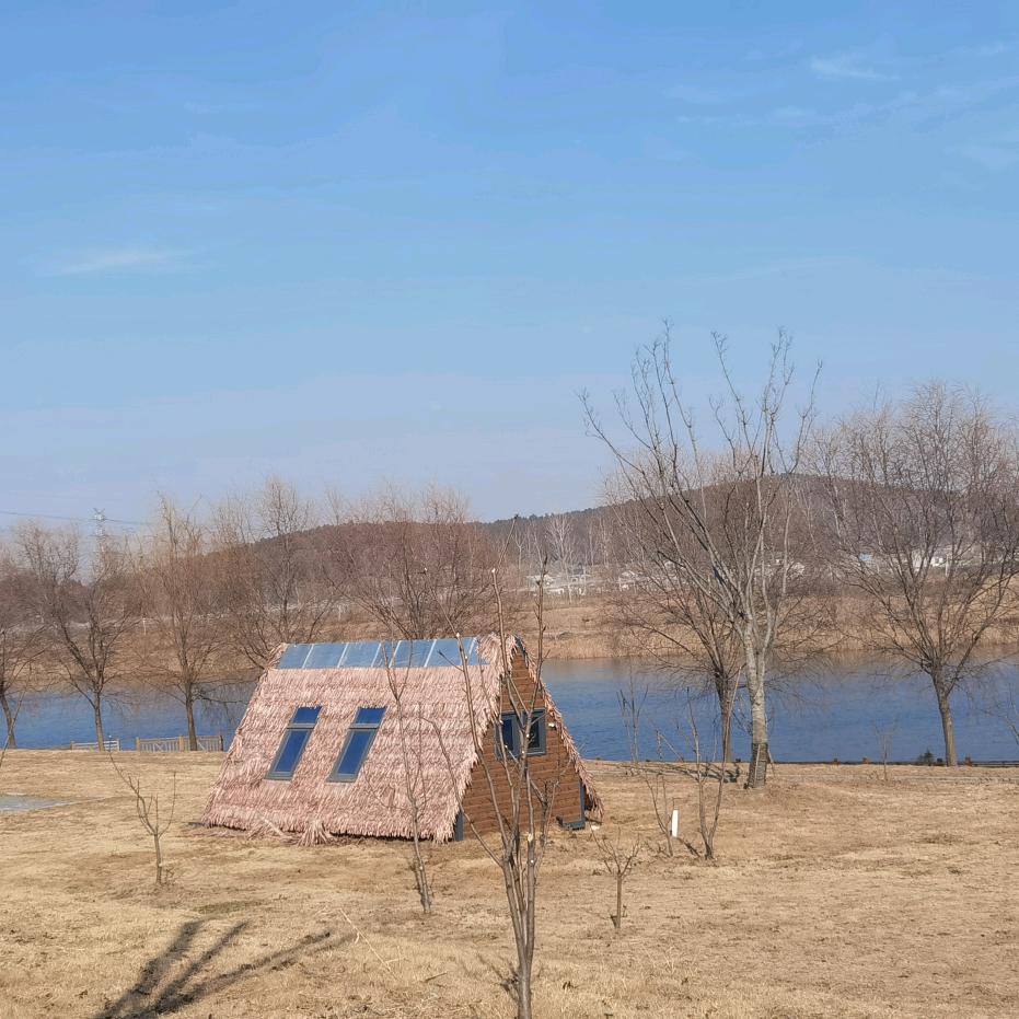 沙漠刻苦的草莓