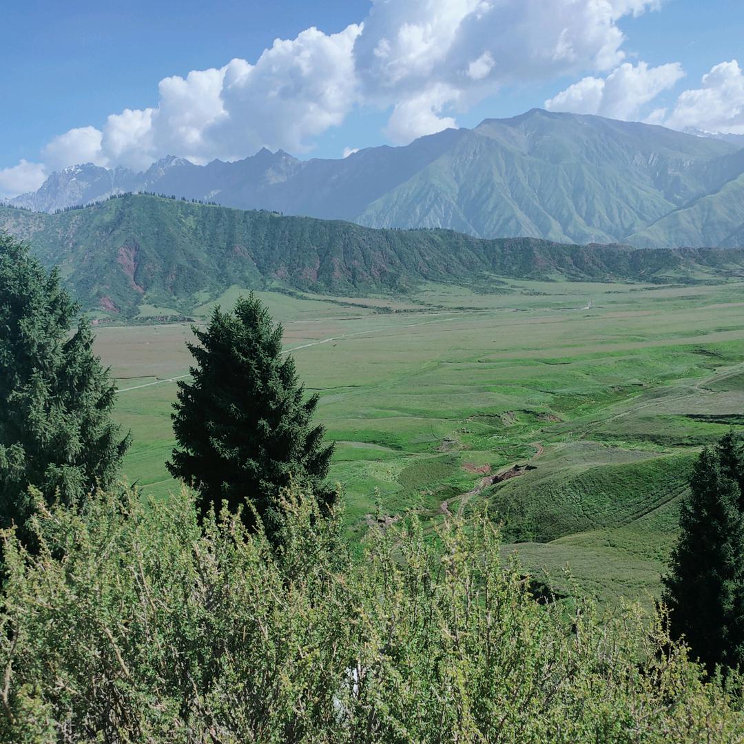 巴中幺妹在新疆