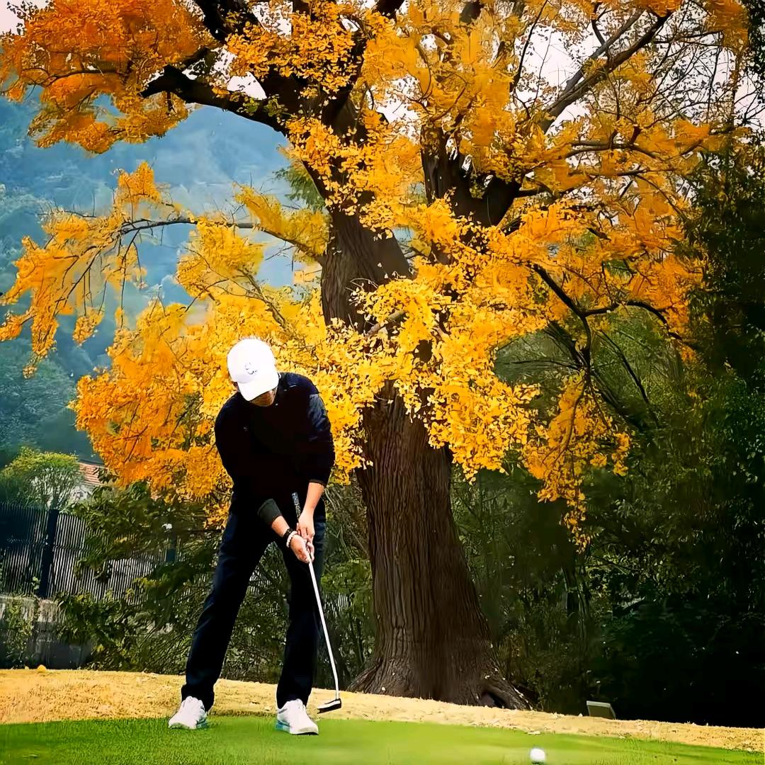 🌈ღ᭄ 倚窗听雨🕊꧔ꦿ᭄