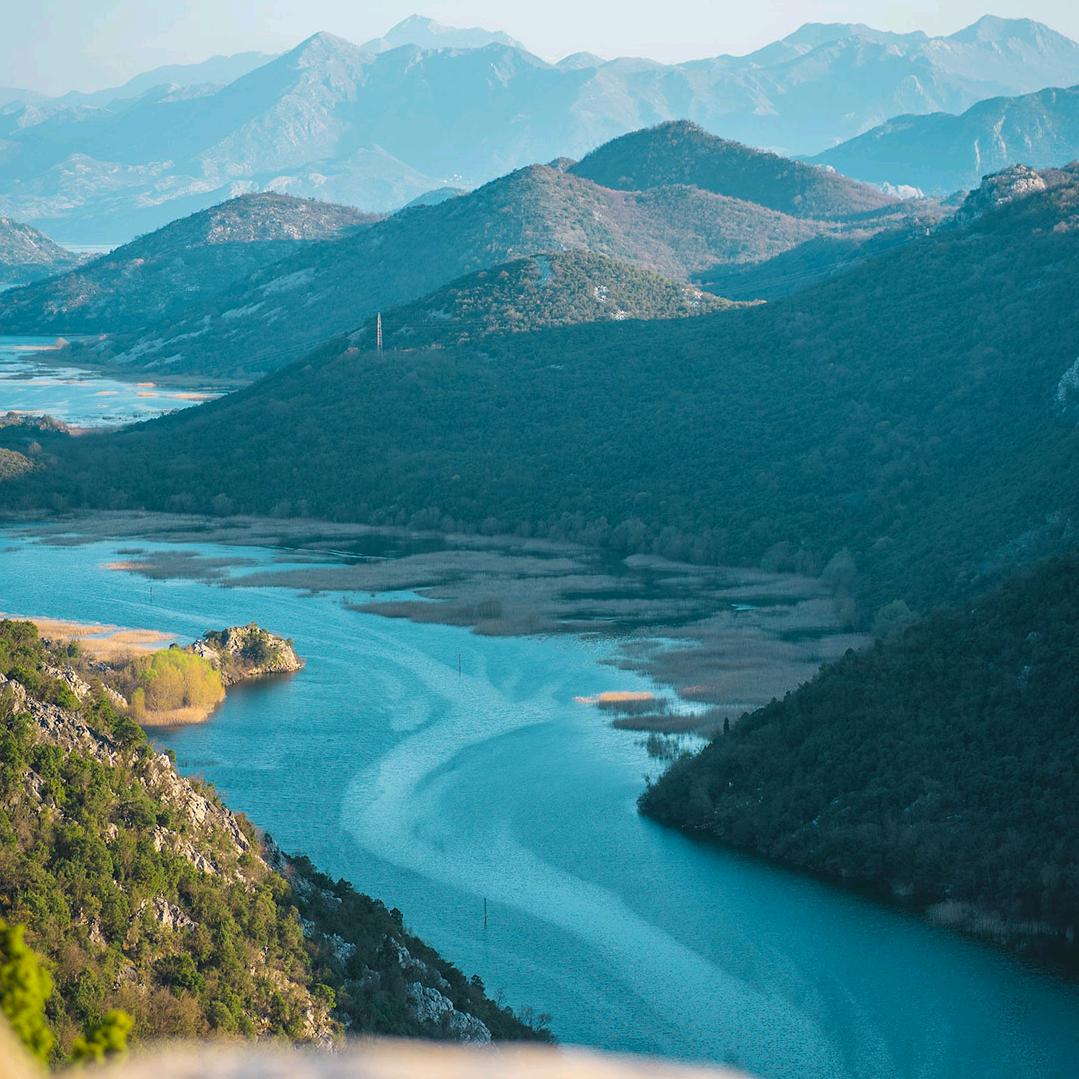猫挡不住耗子的前进