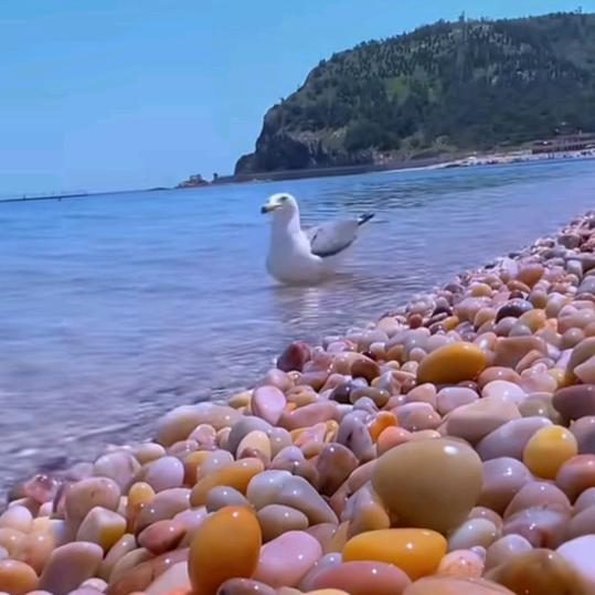 忆当年【万里觅封侯 年少青衫薄】