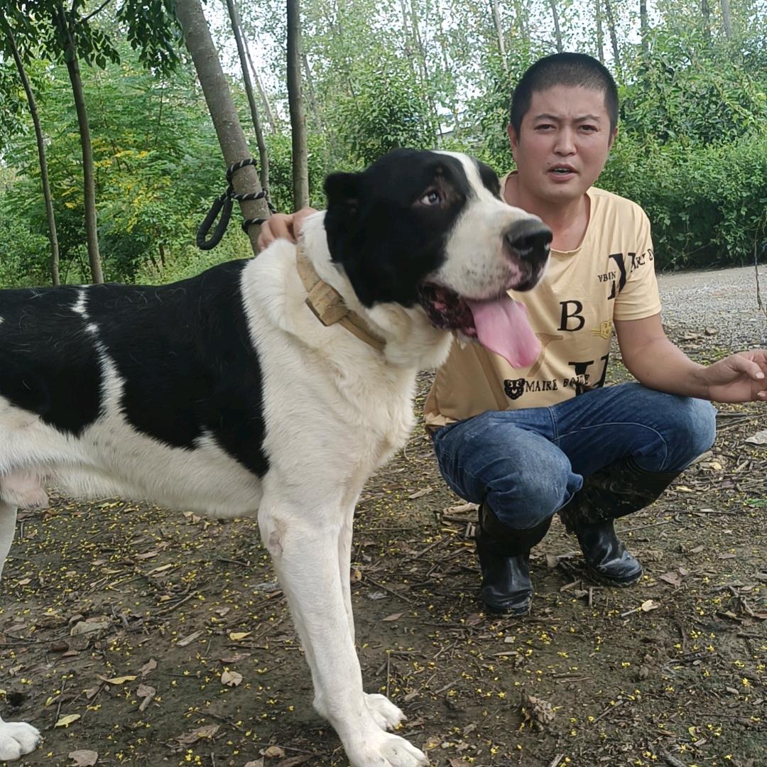 淮南🐉二龙🐉