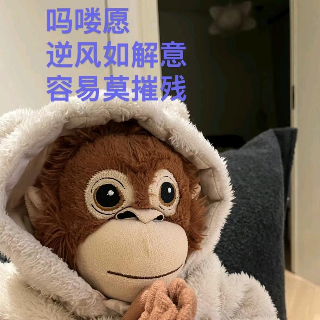 热心市民大馒头