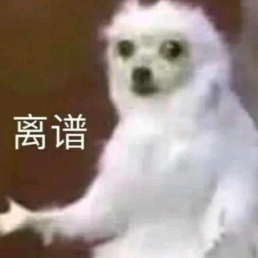 什么什么什么