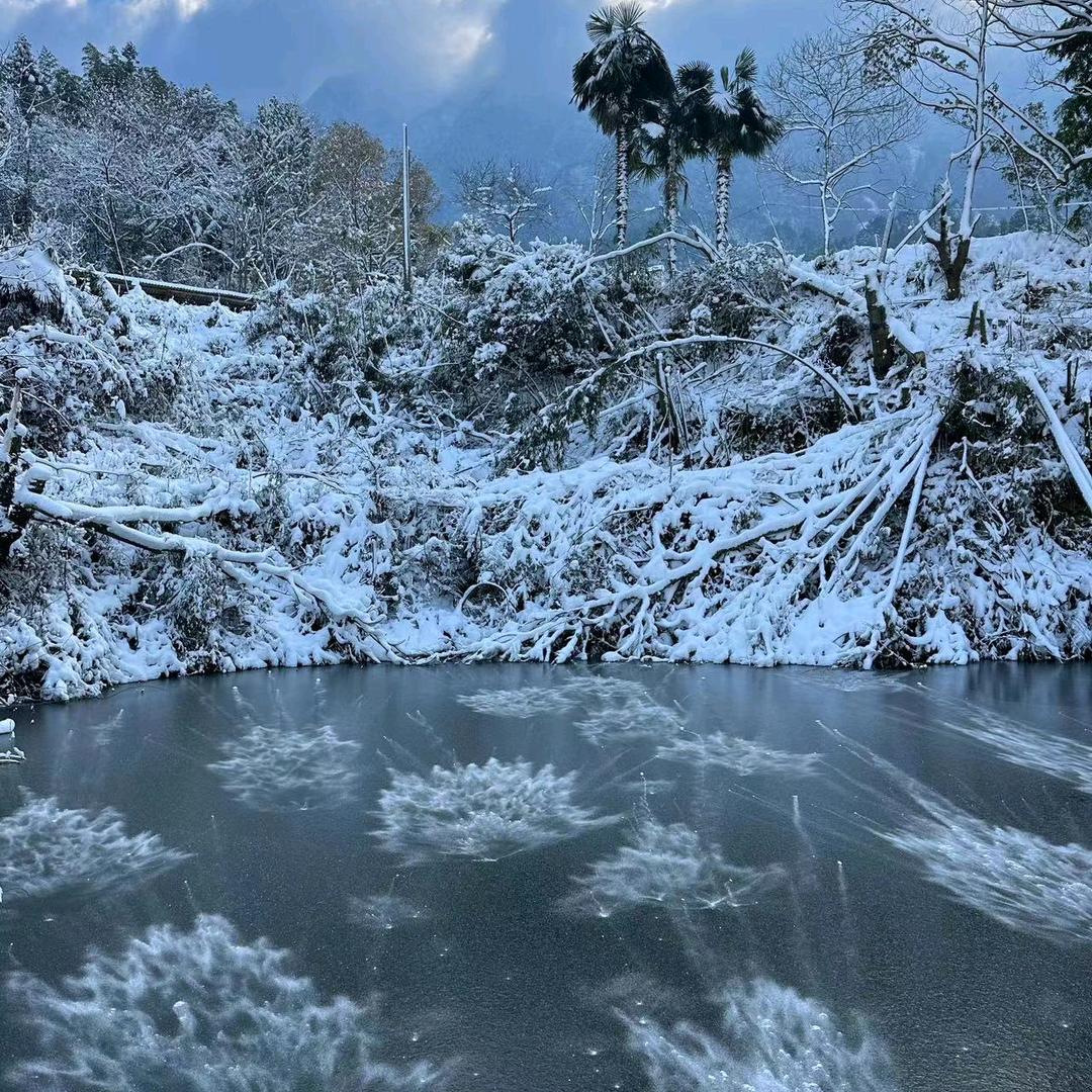 清零❄️