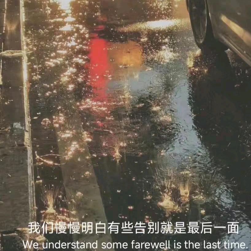 扬洋阳