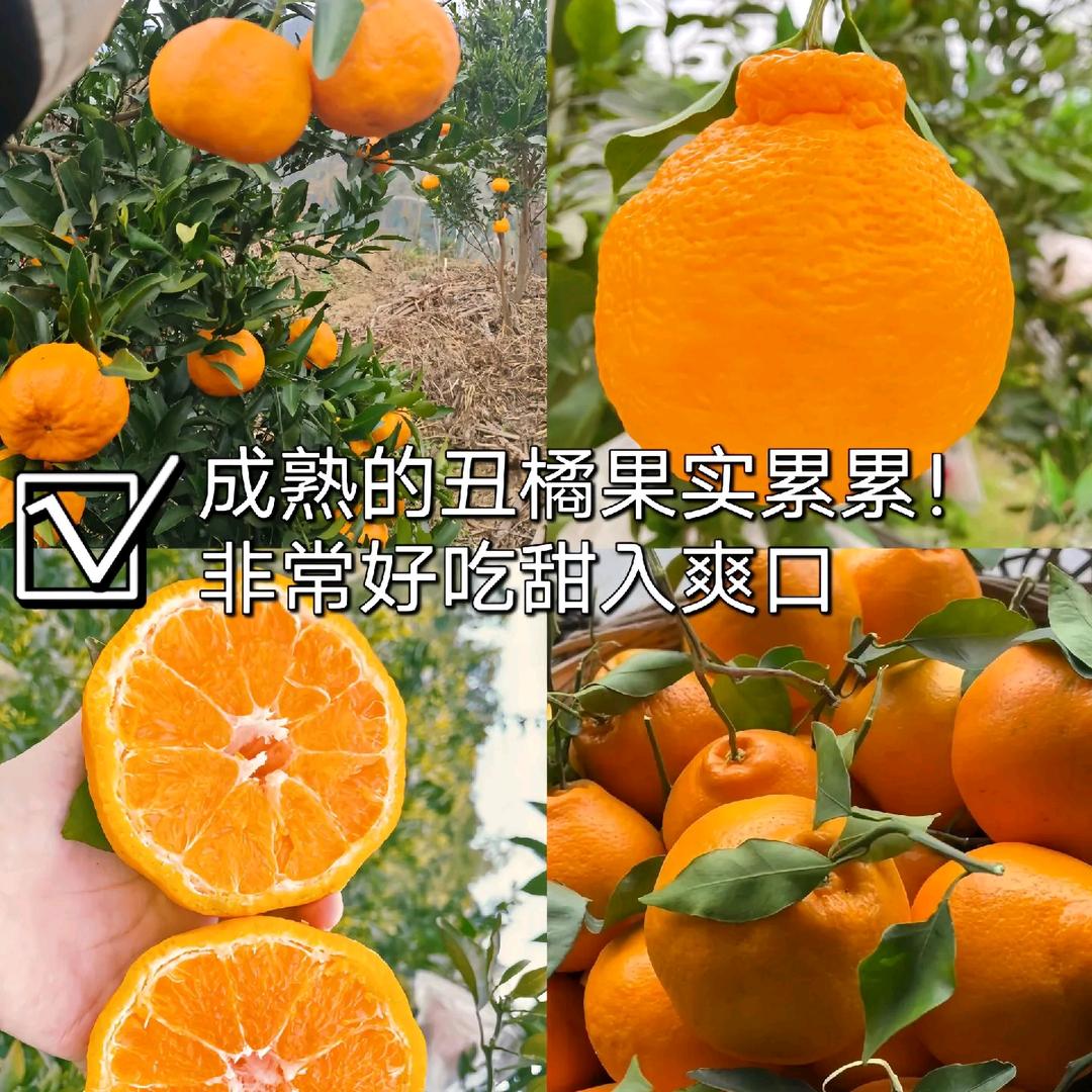 枣枣鲜果