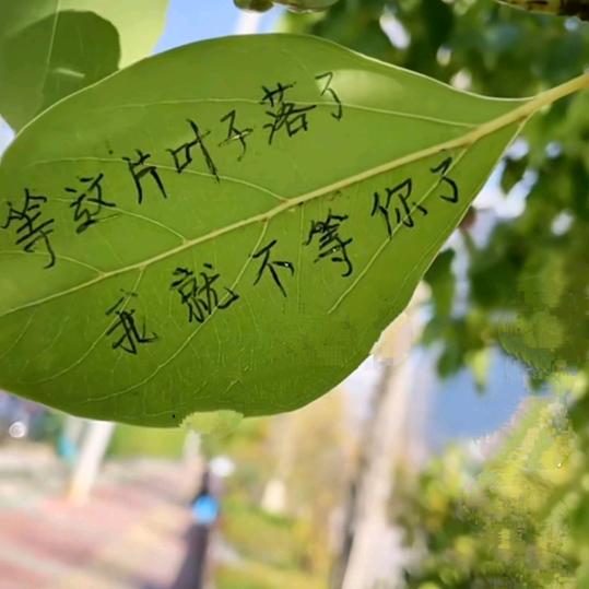 ღ᭄ঞ༊零下五度⁵@￥