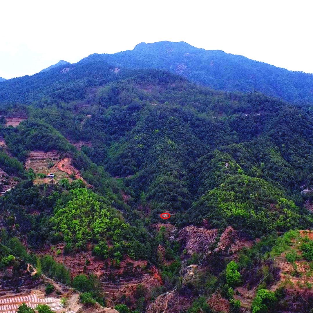 一卦通真山水
