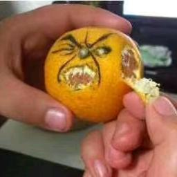 q叫我康哥