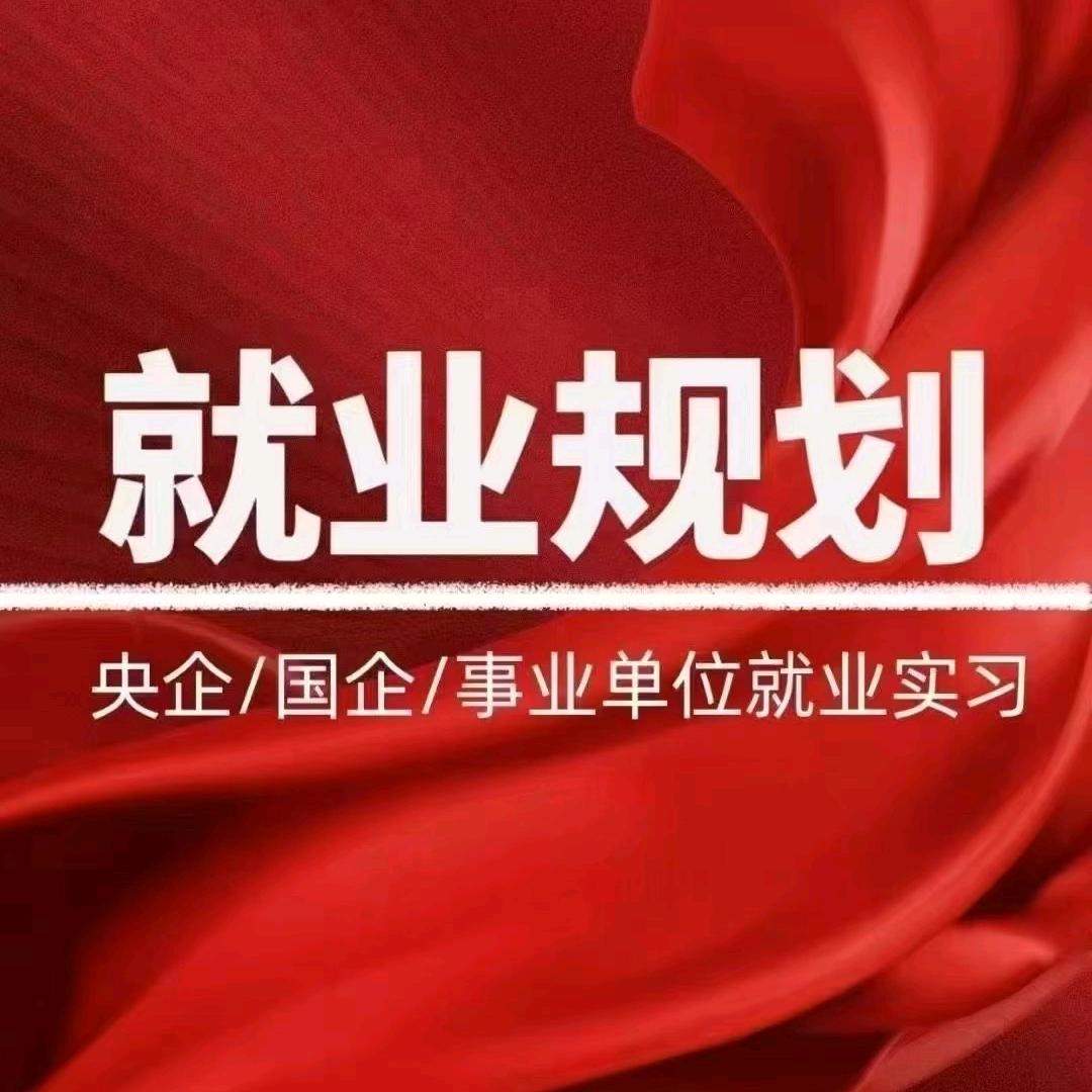 国央企就业