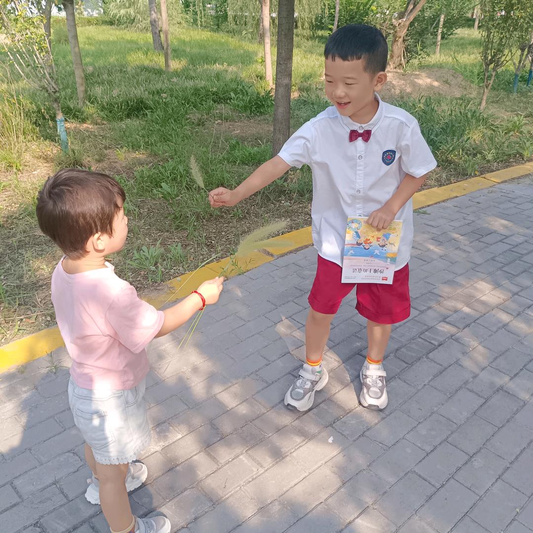 硕硕  糯米