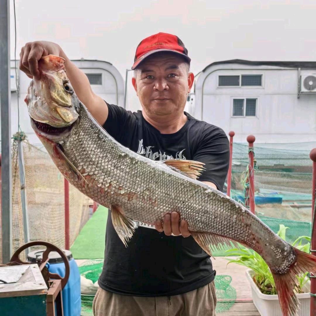 红水湾筏钓基地一安哥