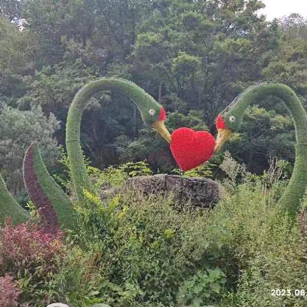花花❤️