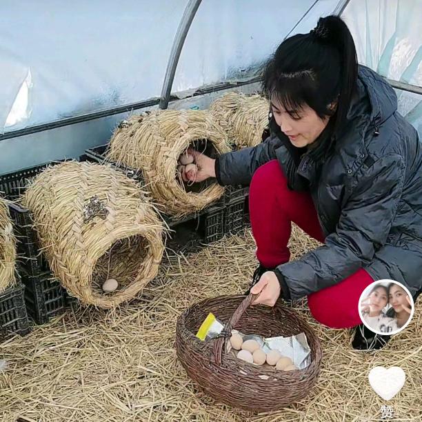 绥棱县英妹百货商店