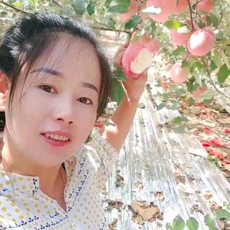 洛川苹果🍎燕子姐