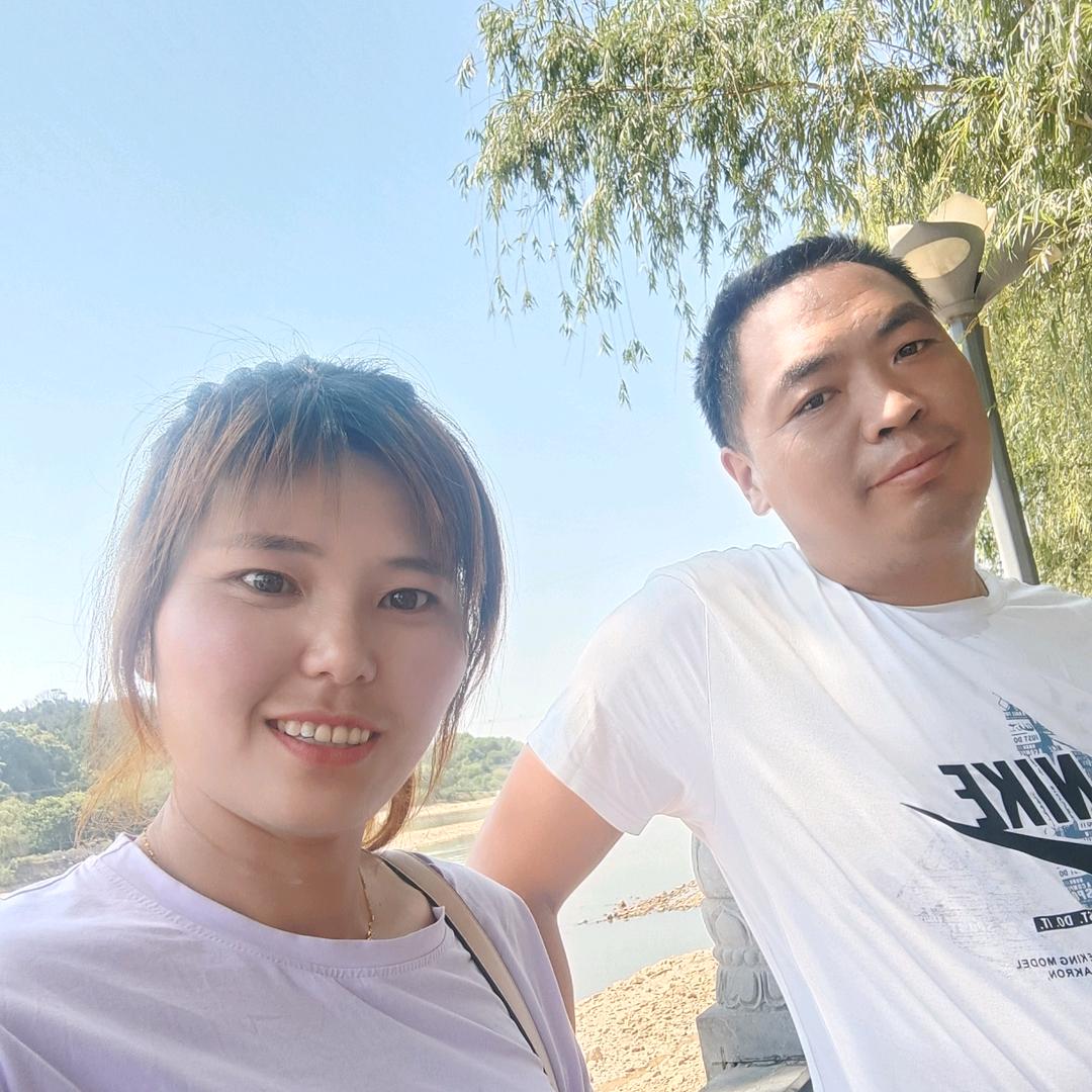 卫辉市李源屯镇真林车行