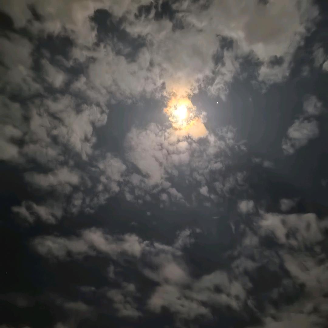 小淘气de夏天