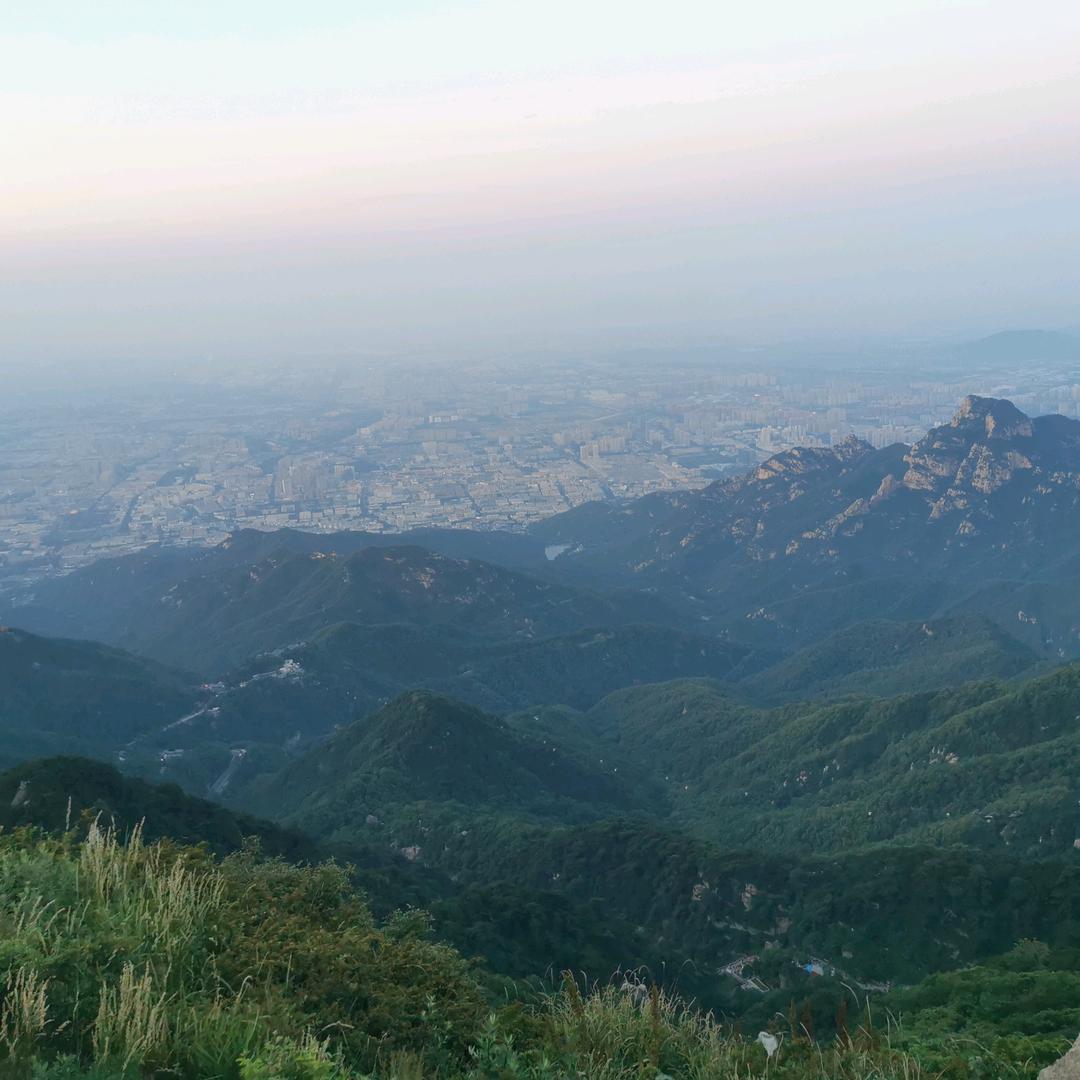 金连奶奶（每天早上7.30直播）