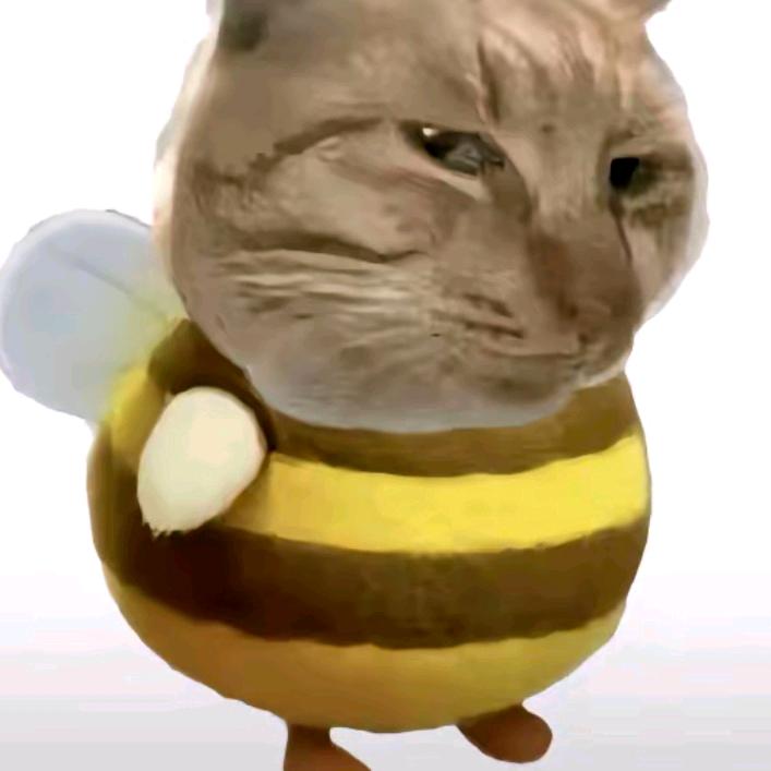 姜依