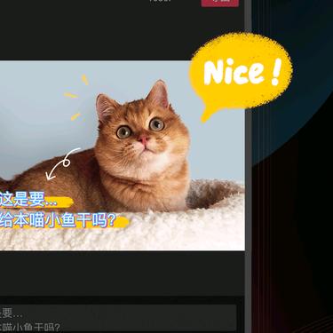 谁伴我心微