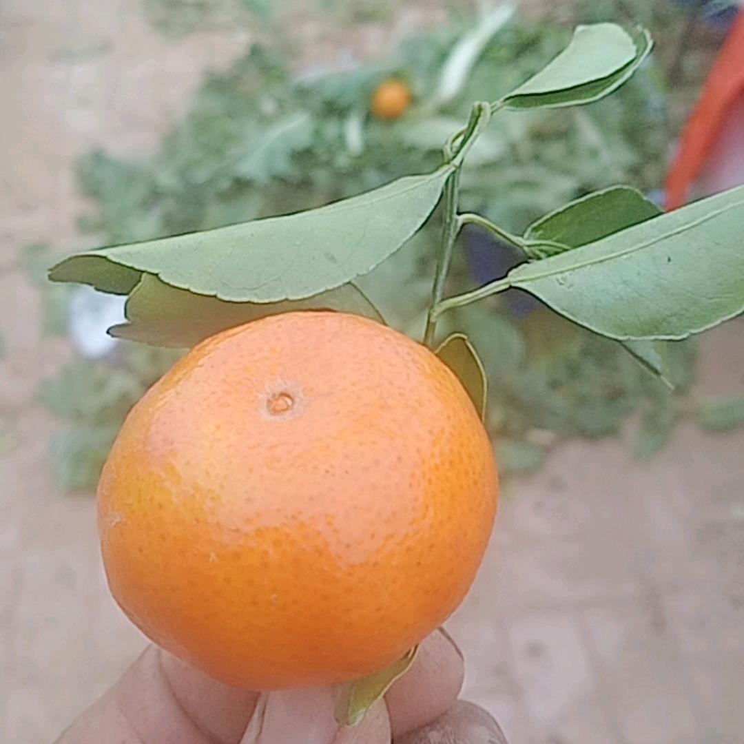 用户2420227002453李秀明