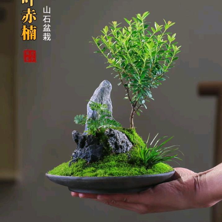 刀锋战士