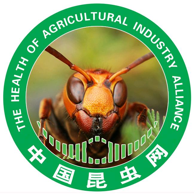 中国昆虫网