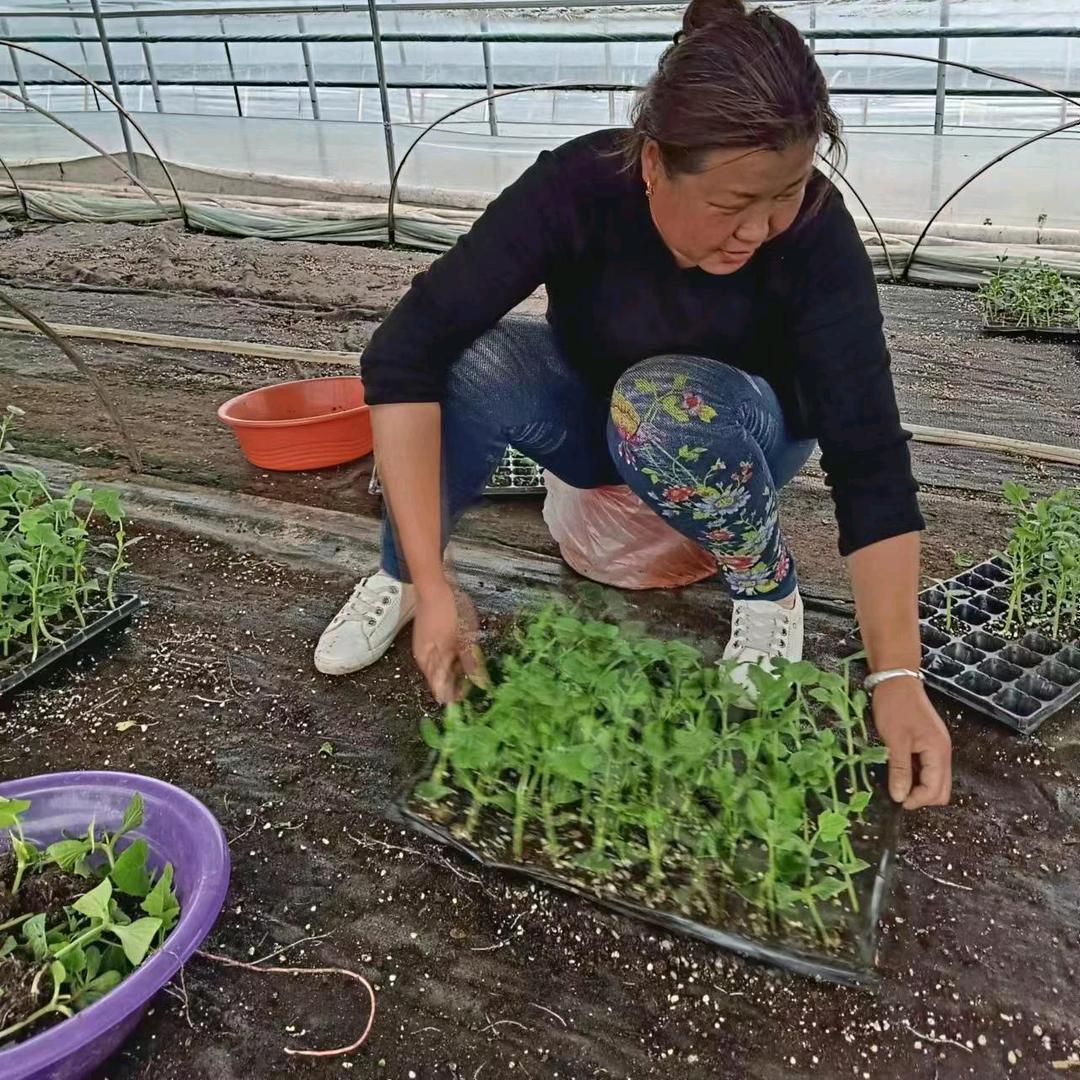 做独一无二的自己
