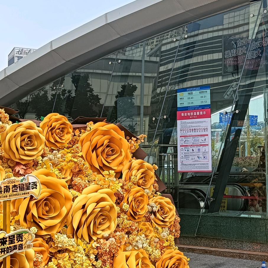 彩云之南好物分享