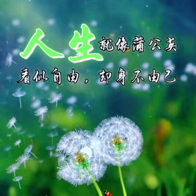 ❤若向阳无所畏惧