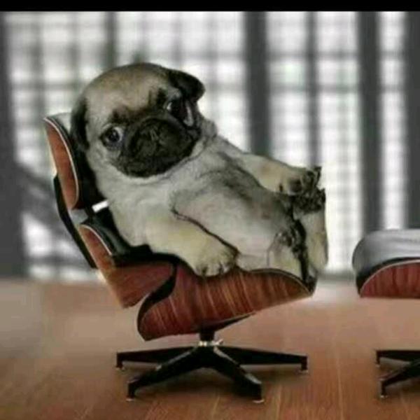 你是风儿，我是沙