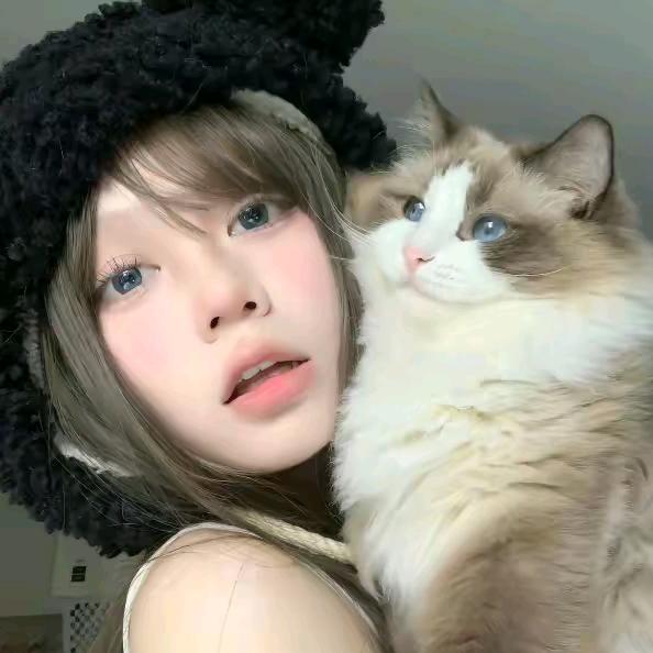 燕迪阳优选