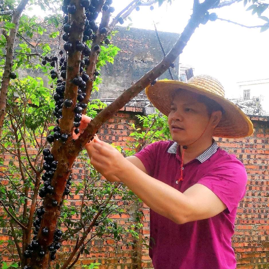 家兴爱种植
