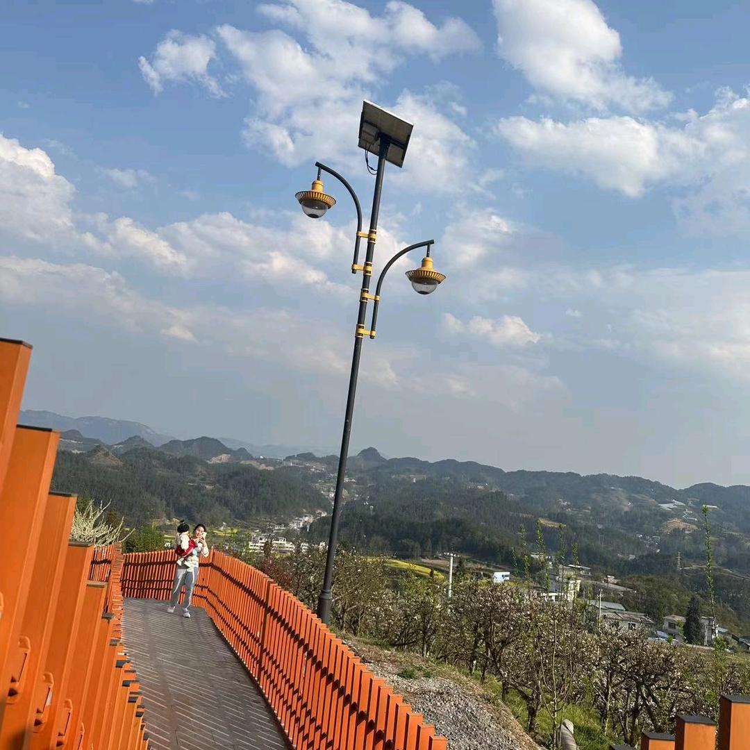 农村小黎