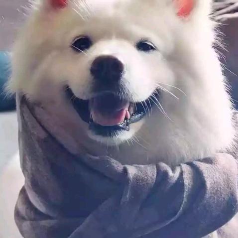 小左
