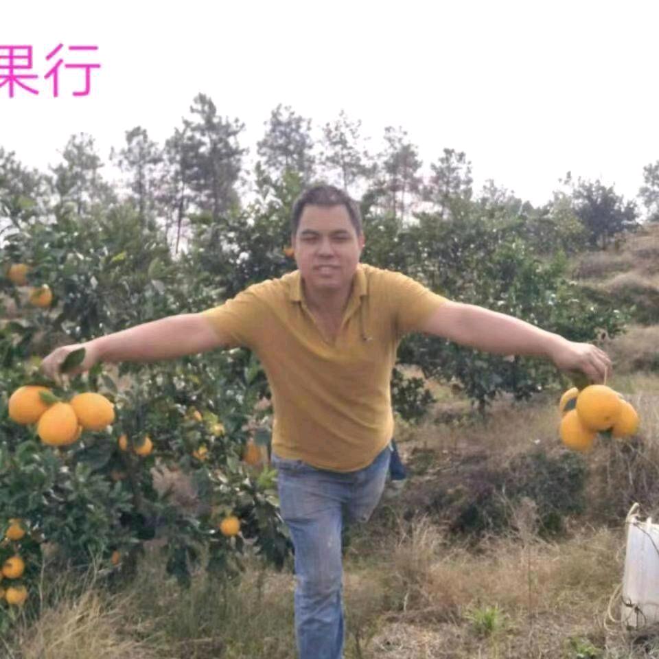 龙勾脐橙，南康甜柚