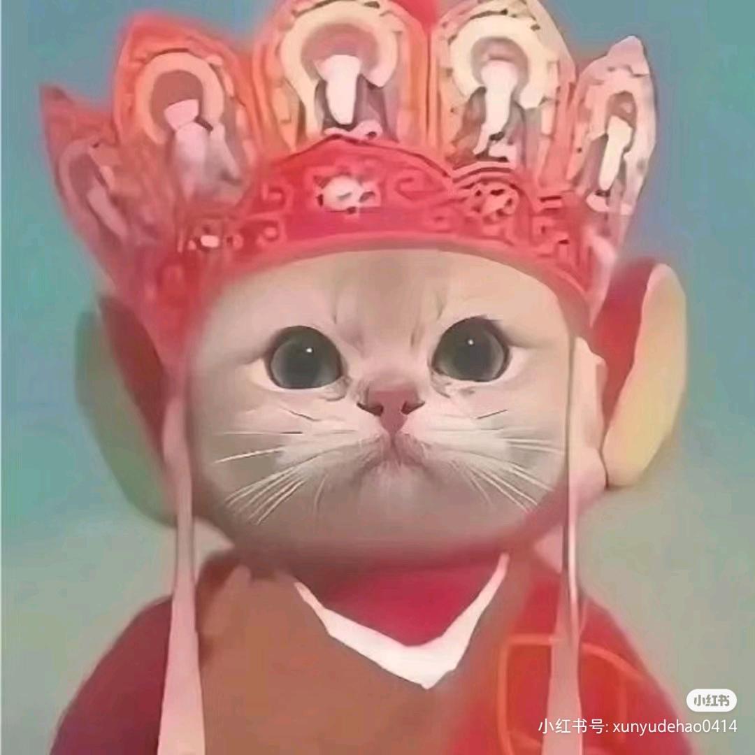 小婉婉