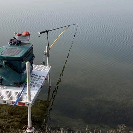 钓鱼技巧🎣