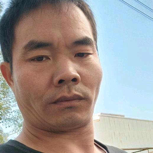 你们不要，爱李不理，