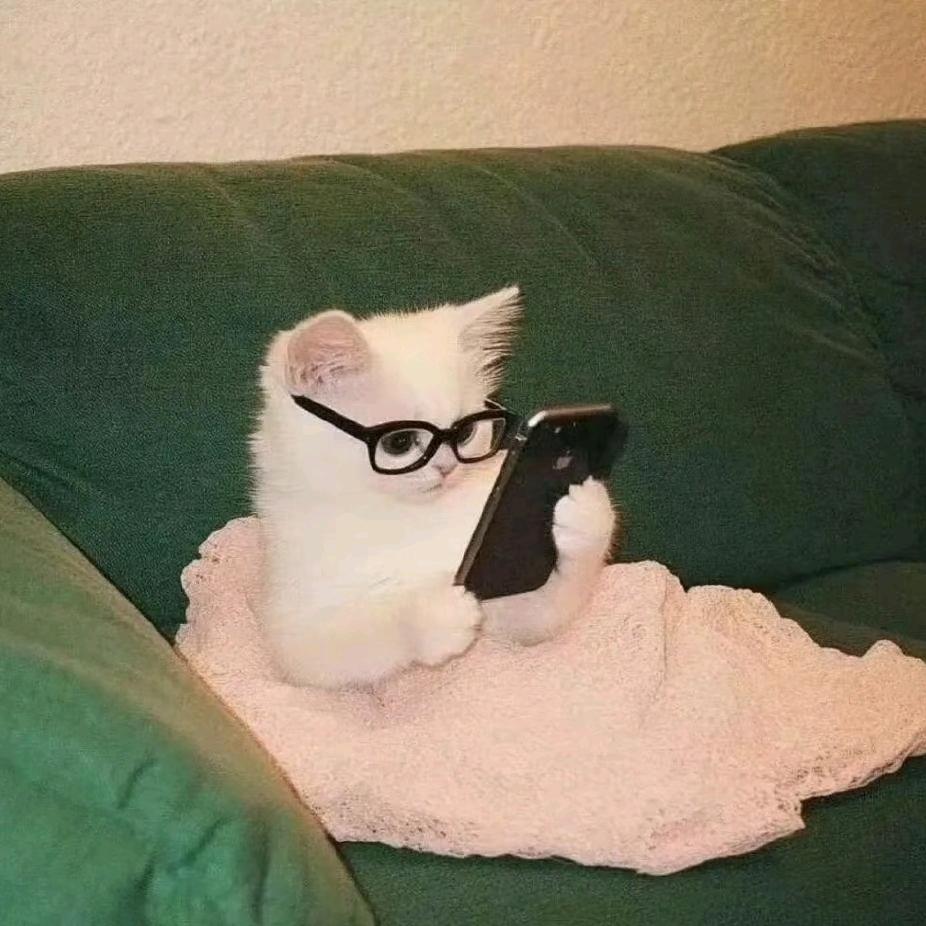猫总潮玩社