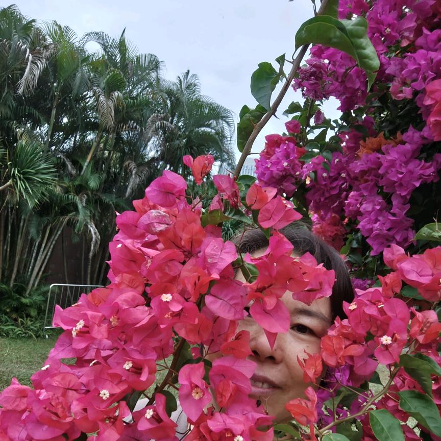 子琴姐🌺🌺