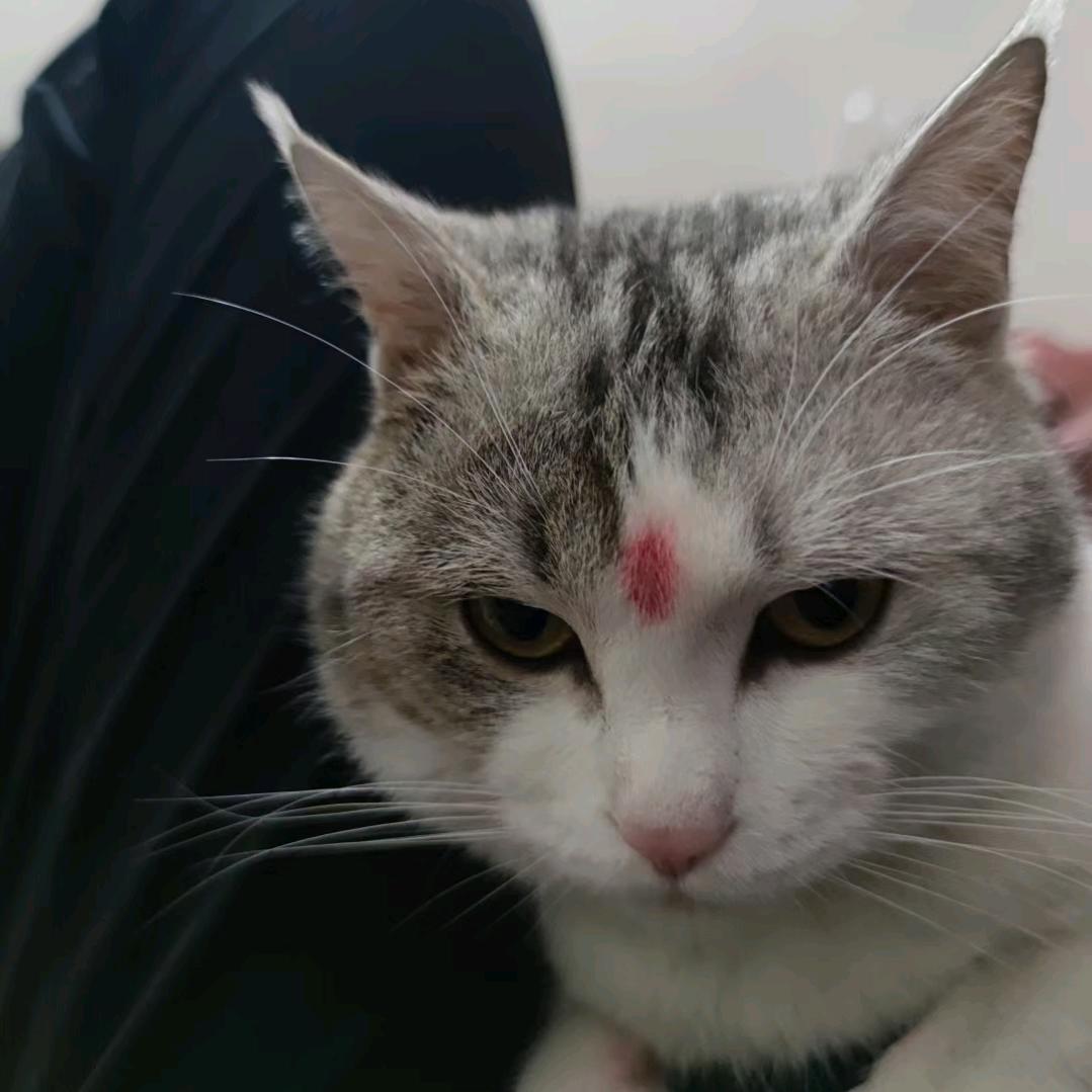 友志台球