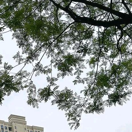 你是我的人☘☘☘☘